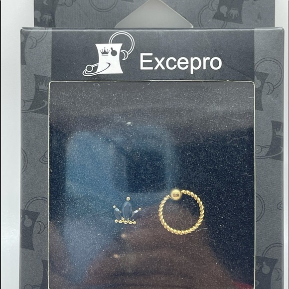 NIB Excepro Crown & Hoop Nose Ring - Picture 2 of 5